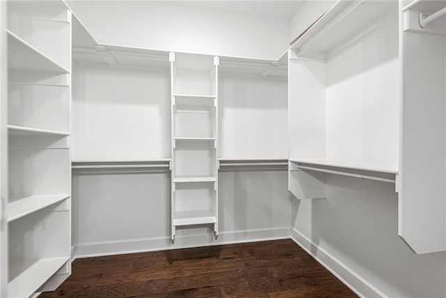 spacious closet featuring dark wood finished floors