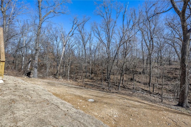 view of road