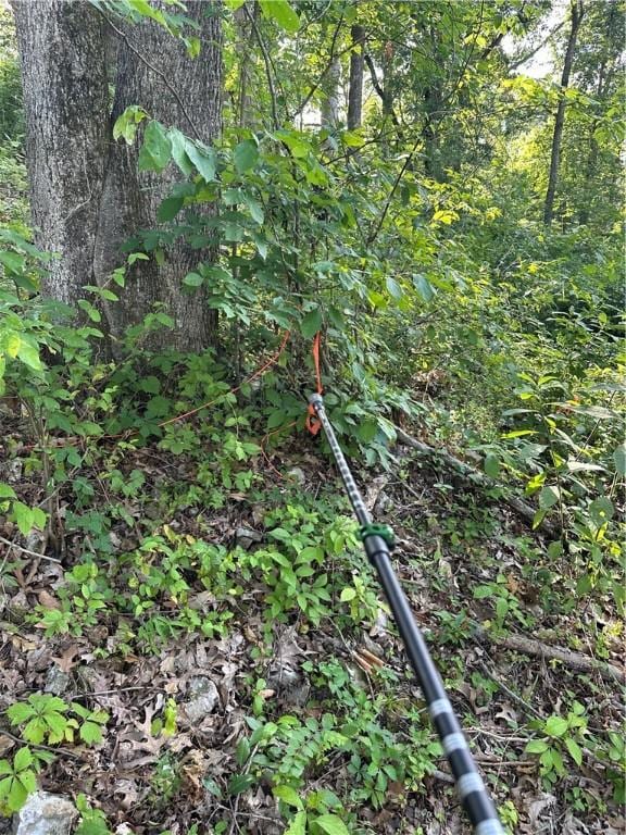 Landers Rd, Rogers, AR 72756 - photo 14