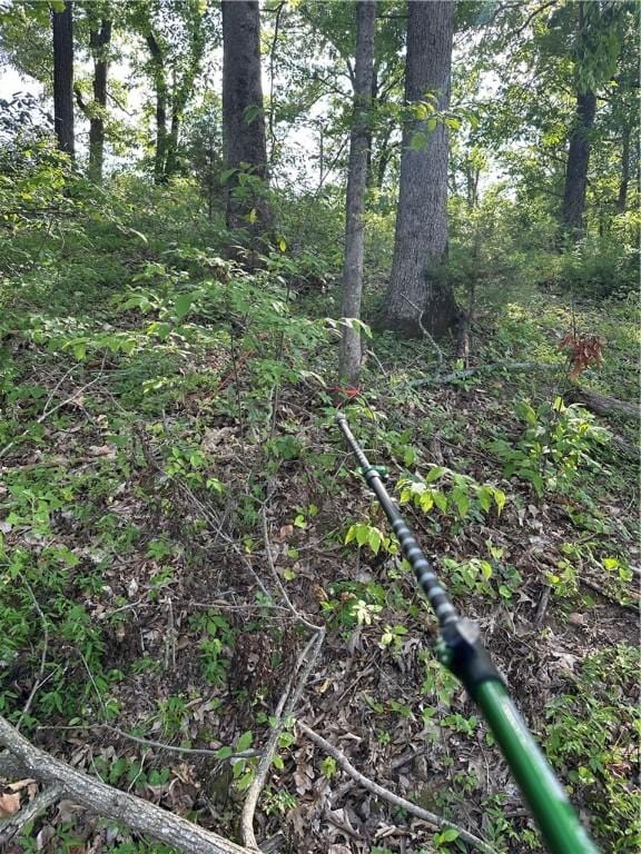 Landers Rd, Rogers, AR 72756 - photo 15