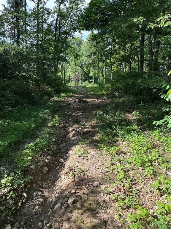 Landers Rd, Rogers, AR 72756 - photo 17