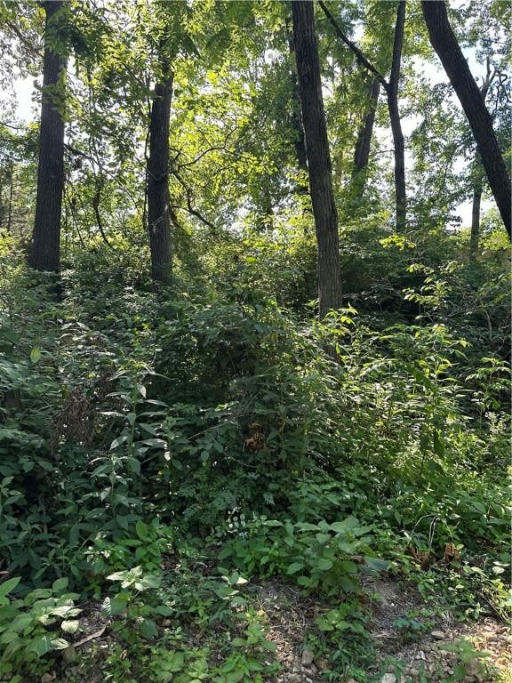 Landers Rd, Rogers, AR 72756 - photo 18