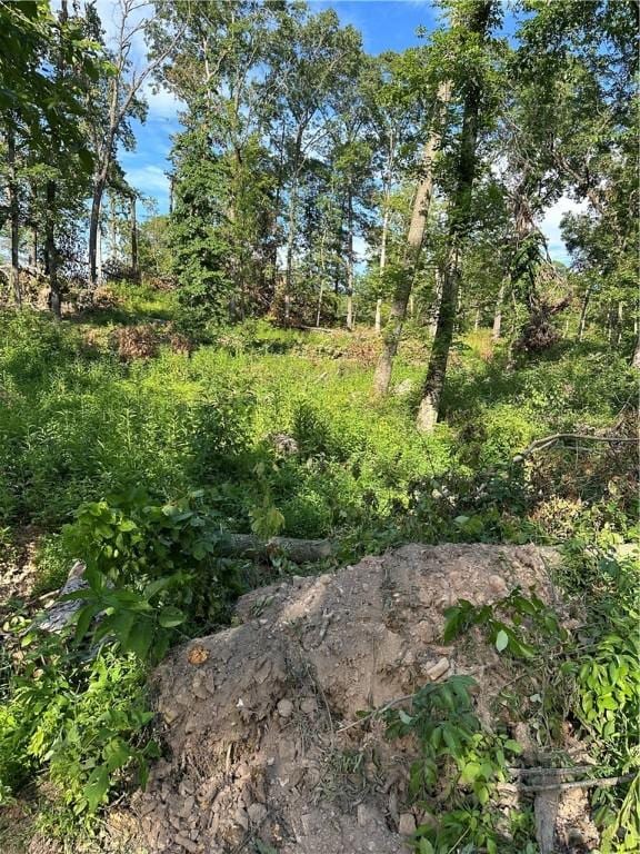 Landers Rd, Rogers, AR 72756 - photo 28