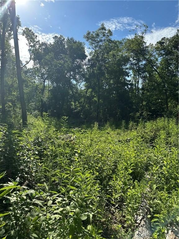 Landers Rd, Rogers, AR 72756 - photo 30