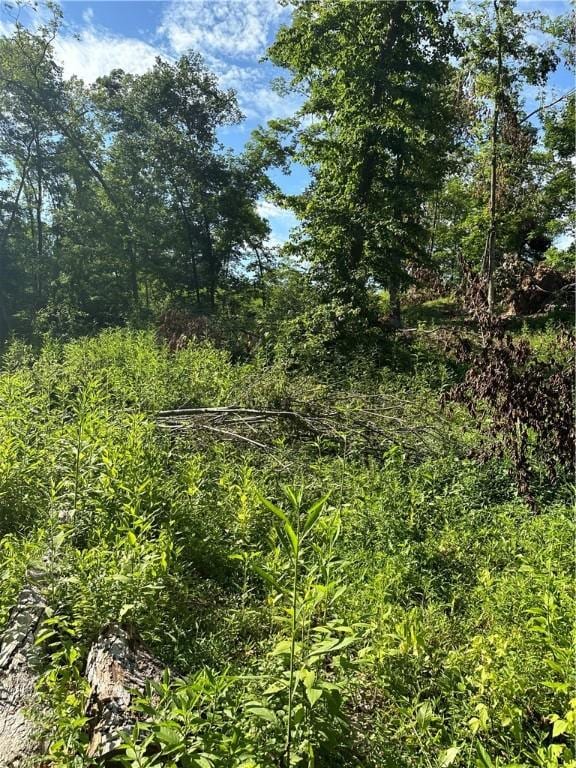 Landers Rd, Rogers, AR 72756 - photo 31