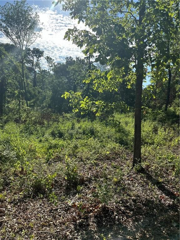 Landers Rd, Rogers, AR 72756 - photo 34