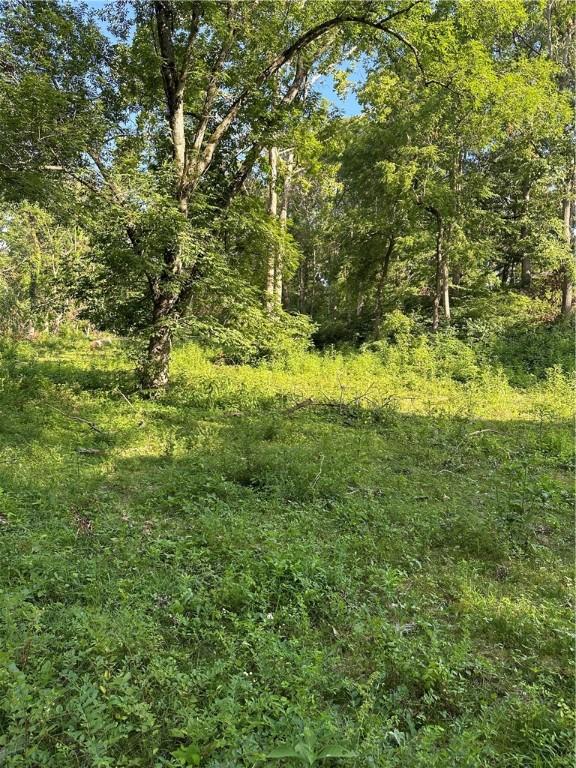 Landers Rd, Rogers, AR 72756 - photo 5