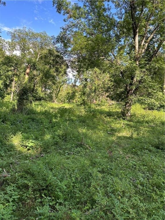 Landers Rd, Rogers, AR 72756 - photo 6