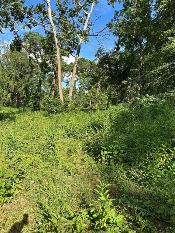 Landers Rd, Rogers, AR 72756 - photo 7