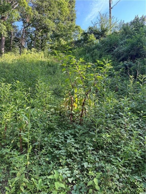 Landers Rd, Rogers, AR 72756 - photo 8
