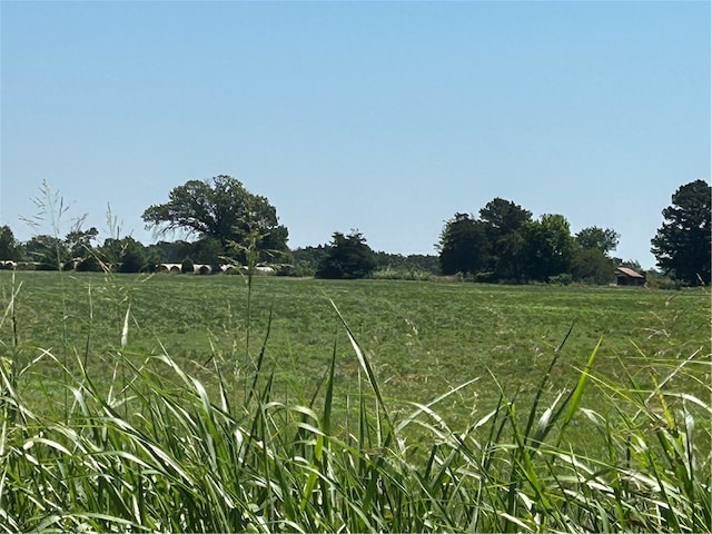 view of nature with a rural view