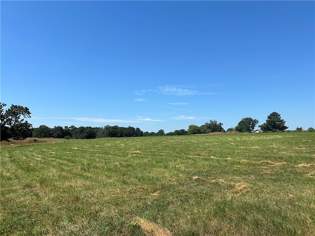 view of local wilderness with a rural view