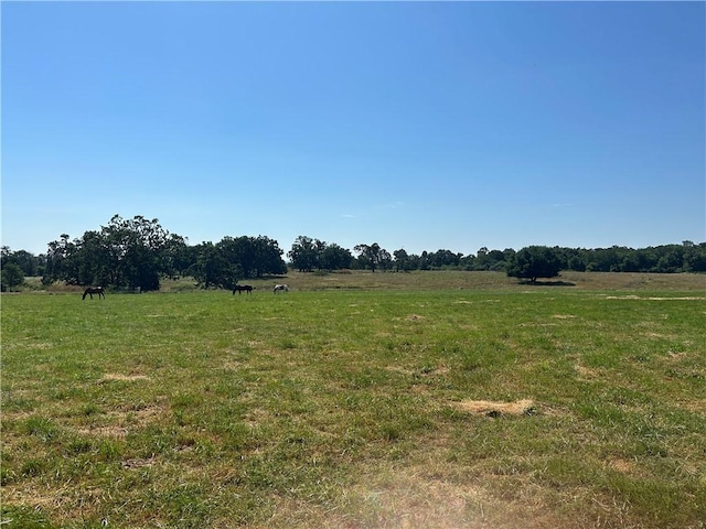 473298 E 660th Rd, Watts, OK 74964 - photo 20