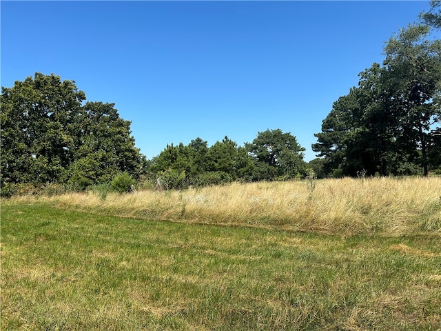 view of local wilderness with a rural view