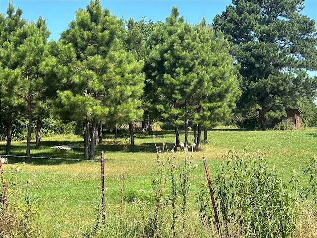 view of local wilderness