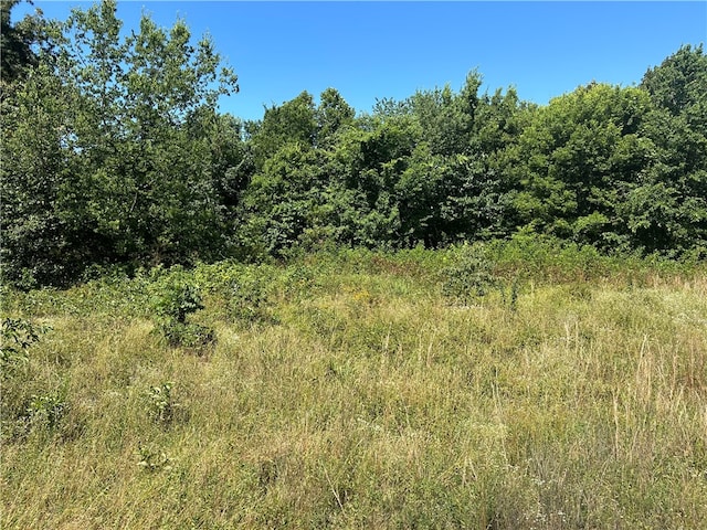 view of local wilderness