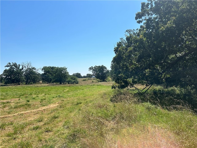 view of local wilderness featuring a rural view