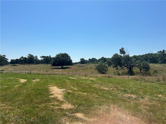 view of nature with a rural view