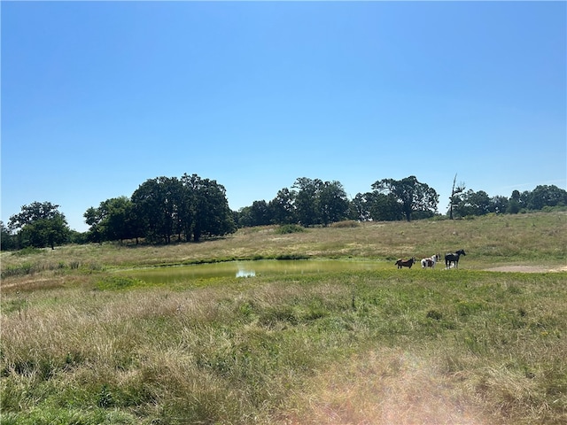 view of nature with a rural view