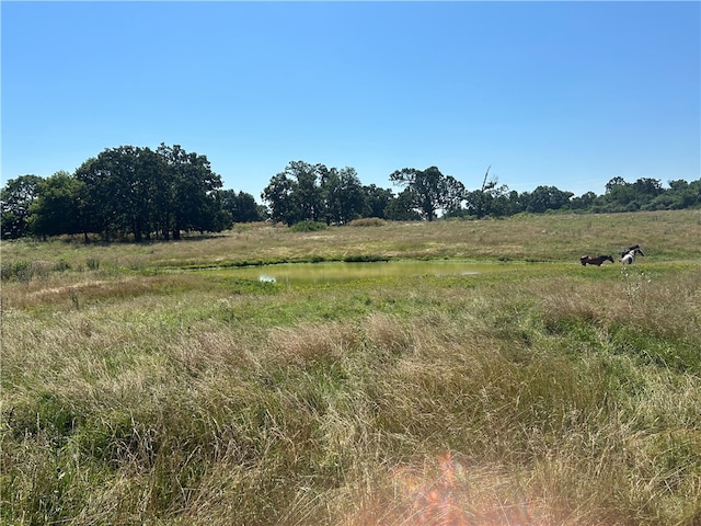 view of nature with a water view and a rural view