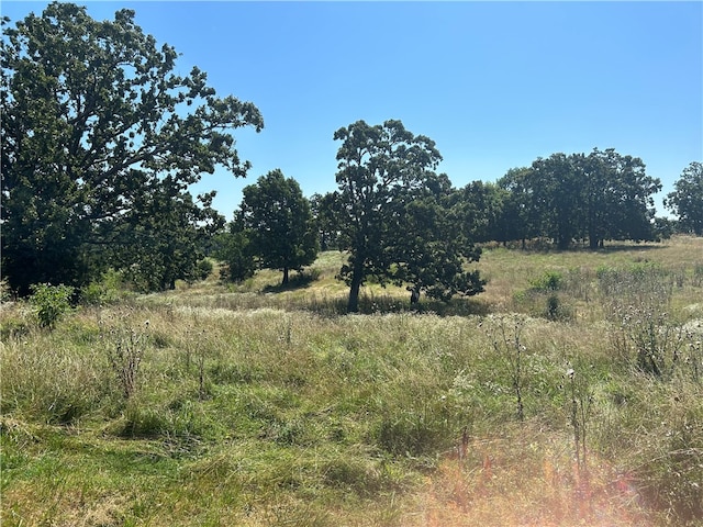 view of local wilderness featuring a rural view