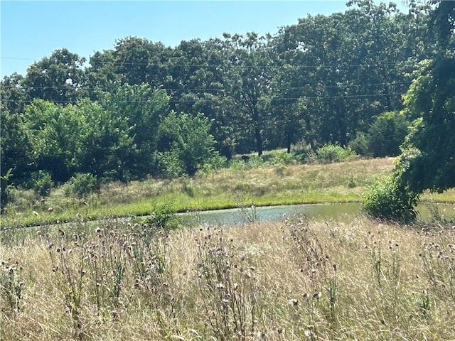 473298 E 660th Rd, Watts, OK 74964 - photo 33