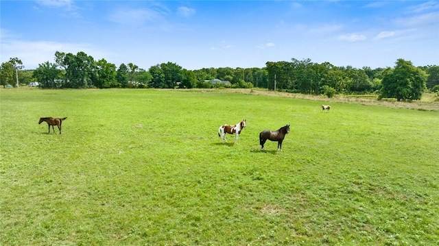 473298 E 660th Rd, Watts, OK 74964 - photo 13