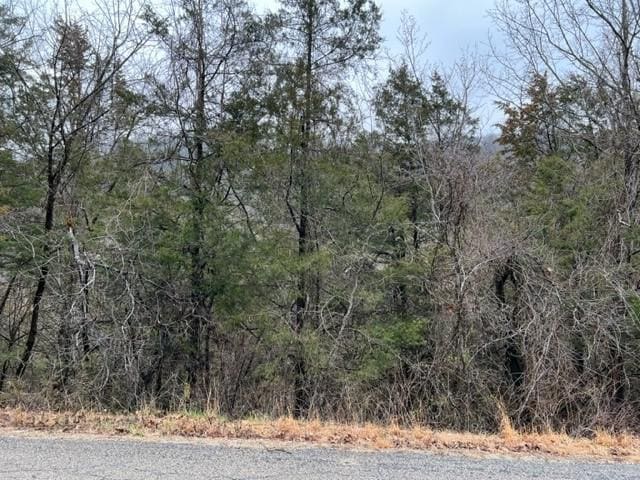 50 Wild Turkey Dr, Holiday Island AR, 72631 land for sale