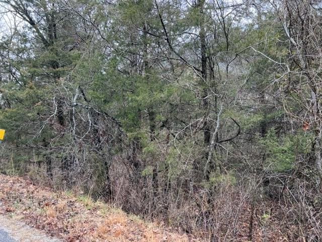 Listing photo 3 for 50 Wild Turkey Dr, Holiday Island AR 72631