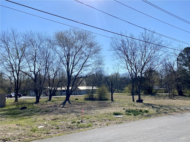 1928-1930 S Garland Ave, Fayetteville, AR 72701 - photo 5