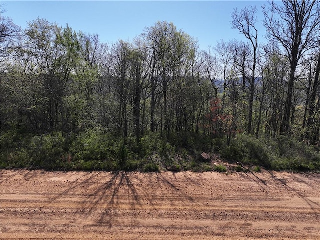 Listing photo 3 for 14.63ACRES Bidville Rd, Winslow AR 72959