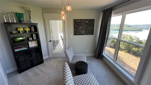 living area featuring carpet and baseboards