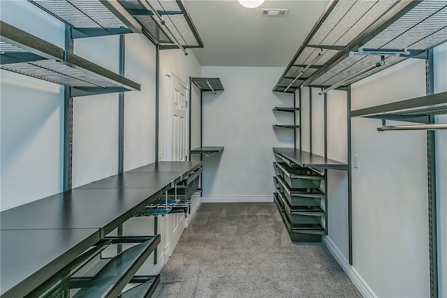 spacious closet with carpet floors