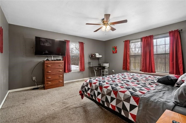 carpeted bedroom with multiple windows and ceiling fan