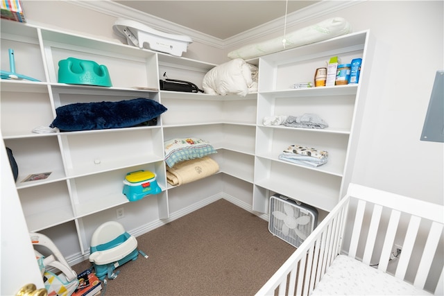 walk in closet with carpet flooring