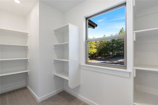 spacious closet with carpet