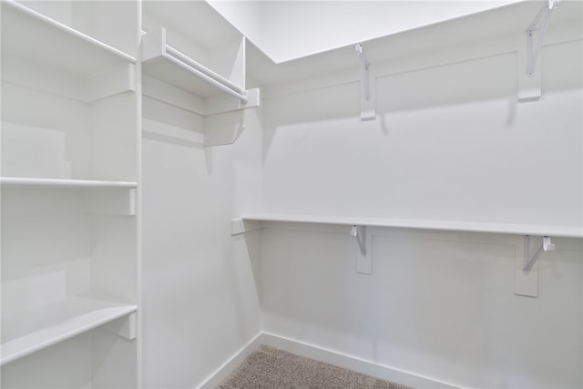 walk in closet with carpet