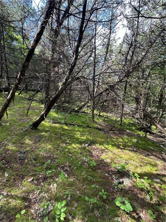 20 Lakeview Ln, Holiday Island, AR 72631 - photo 4