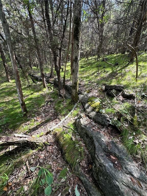 20 Lakeview Ln, Holiday Island, AR 72631 - photo 5