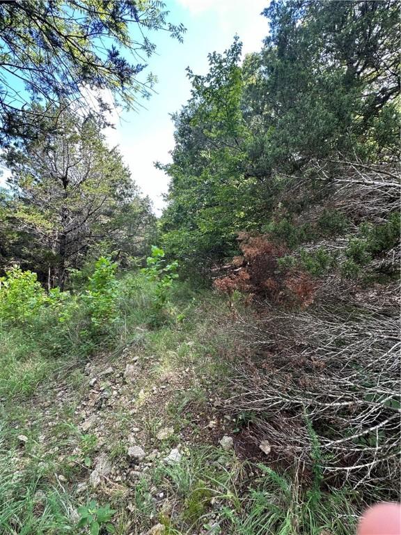 20 Lakeview Ln, Holiday Island, AR 72631 - photo 8