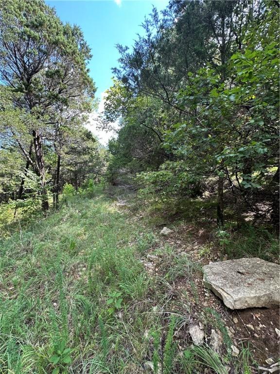 20 Lakeview Ln, Holiday Island, AR 72631 - photo 9