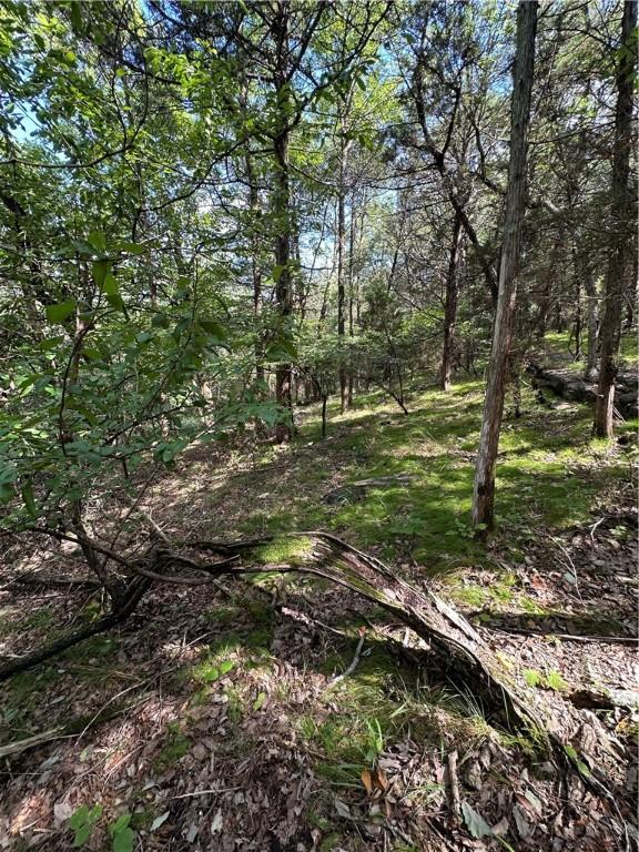 20 Lakeview Ln, Holiday Island, AR 72631 - photo 10