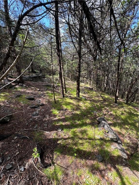 20 Lakeview Ln, Holiday Island, AR 72631 - photo 13