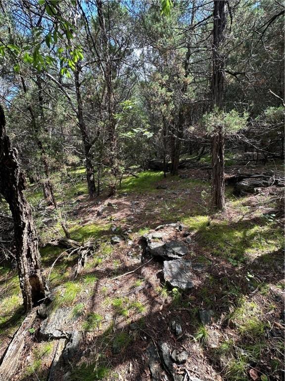 20 Lakeview Ln, Holiday Island, AR 72631 - photo 15