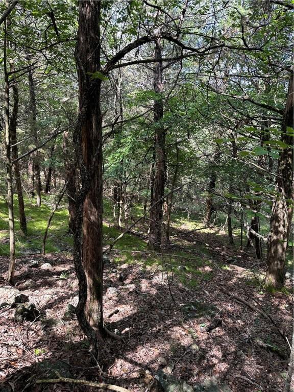20 Lakeview Ln, Holiday Island, AR 72631 - photo 20