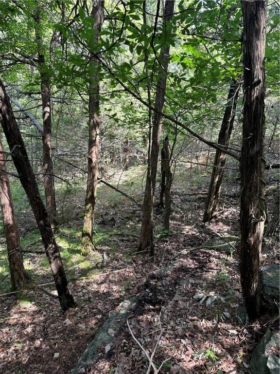 20 Lakeview Ln, Holiday Island, AR 72631 - photo 23