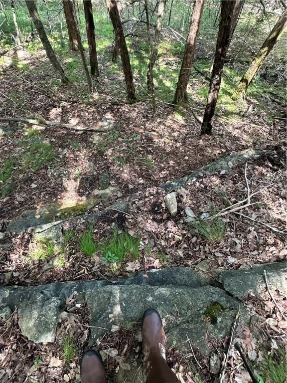 20 Lakeview Ln, Holiday Island, AR 72631 - photo 24