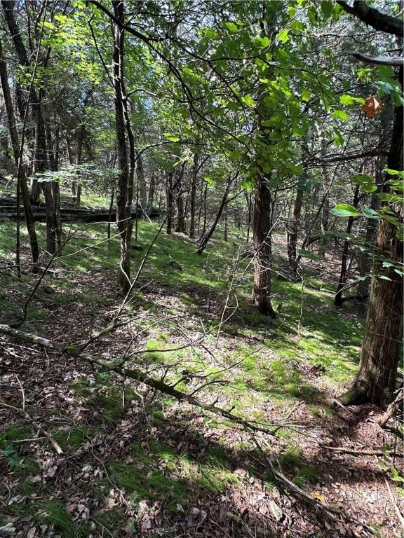 20 Lakeview Ln, Holiday Island, AR 72631 - photo 25