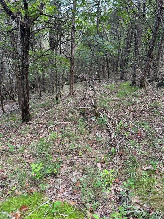 20 Lakeview Ln, Holiday Island, AR 72631 - photo 27