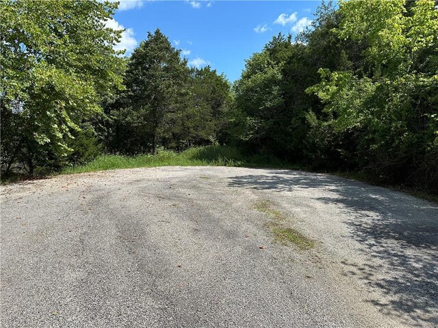 20 Lakeview Ln, Holiday Island, AR 72631 - photo 28